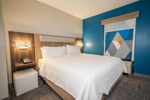 Holiday Inn Express Hotel & Suites Tampa-Oldsmar an IHG Hotel - image 49