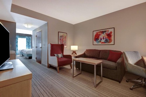 Hilton Garden Inn Tampa Northwest/Oldsmar - image 3