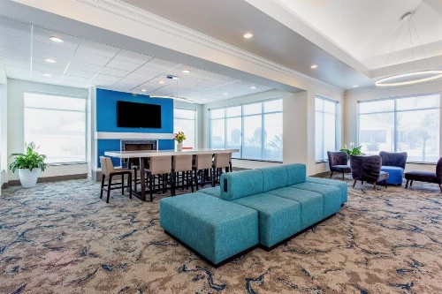 Hilton Garden Inn Tampa Northwest/Oldsmar - image 32