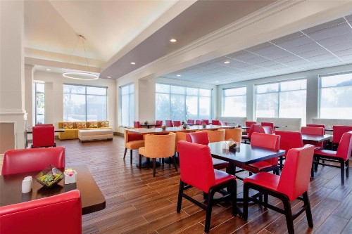 Hilton Garden Inn Tampa Northwest/Oldsmar - image 39
