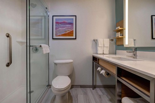 Hilton Garden Inn Tampa Northwest/Oldsmar - image 4