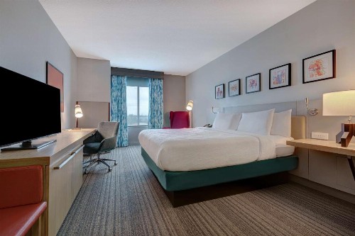 Hilton Garden Inn Tampa Northwest/Oldsmar - image 9