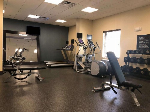 Hampton Inn & Suites Tampa Northwest/Oldsmar - image 11