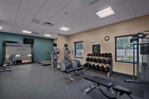 Hampton Inn & Suites Tampa Northwest/Oldsmar - image 13
