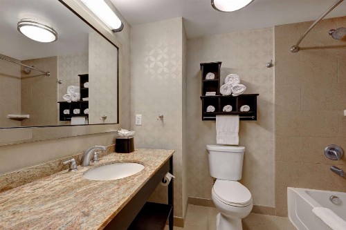 Hampton Inn & Suites Tampa Northwest/Oldsmar - image 18