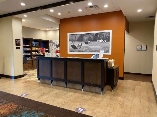 Hampton Inn & Suites Tampa Northwest/Oldsmar - image 2