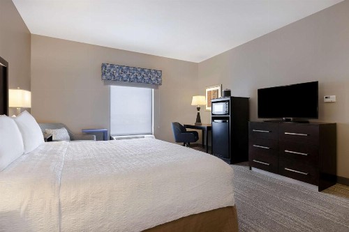 Hampton Inn & Suites Tampa Northwest/Oldsmar - image 24