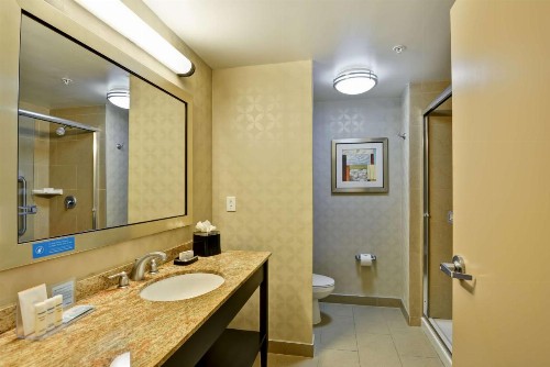 Hampton Inn & Suites Tampa Northwest/Oldsmar - image 28