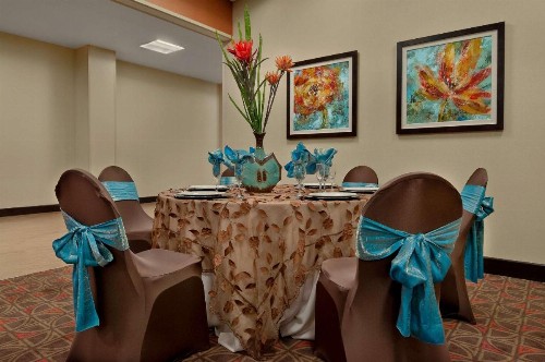 Hampton Inn & Suites Tampa Northwest/Oldsmar - image 36