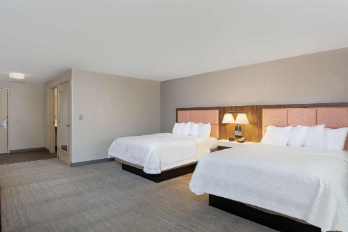 Newly Renovated Hampton Inn Omaha West Lakeside - image 7