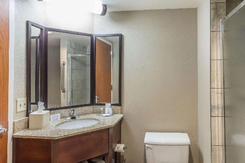 Comfort Inn SW Omaha I-80 - image 2