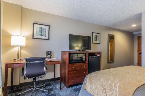 Comfort Inn SW Omaha I-80 - image 27