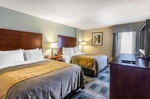 Comfort Inn SW Omaha I-80 - image 33