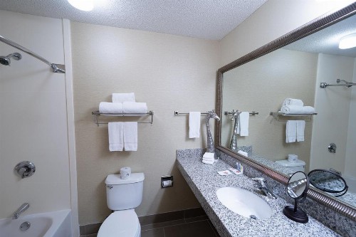 Comfort Inn at the Zoo Omaha - image 25