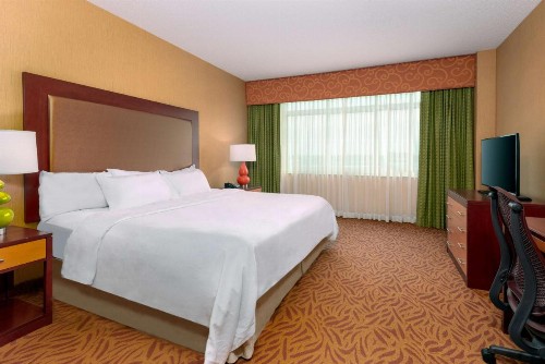 Embassy Suites Omaha- La Vista/ Hotel & Conference Center - image 18