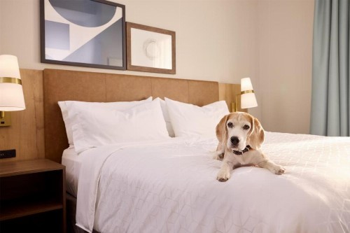 Staybridge Suites Omaha 80th and Dodge an IHG Hotel - image 34