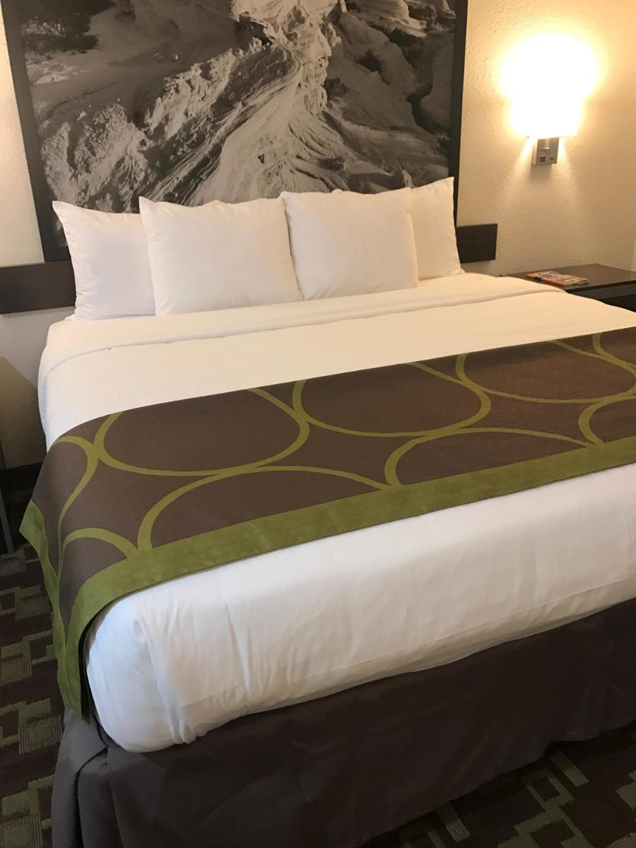 402 Hotel - image 7