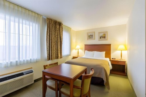Econo Lodge Inn & Suites West - image 45