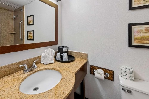 Comfort Inn & Suites Omaha - image 14