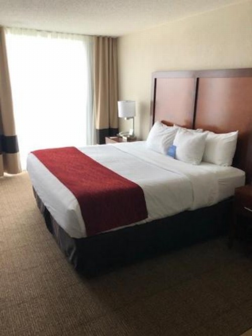 Comfort Inn & Suites Omaha - image 2