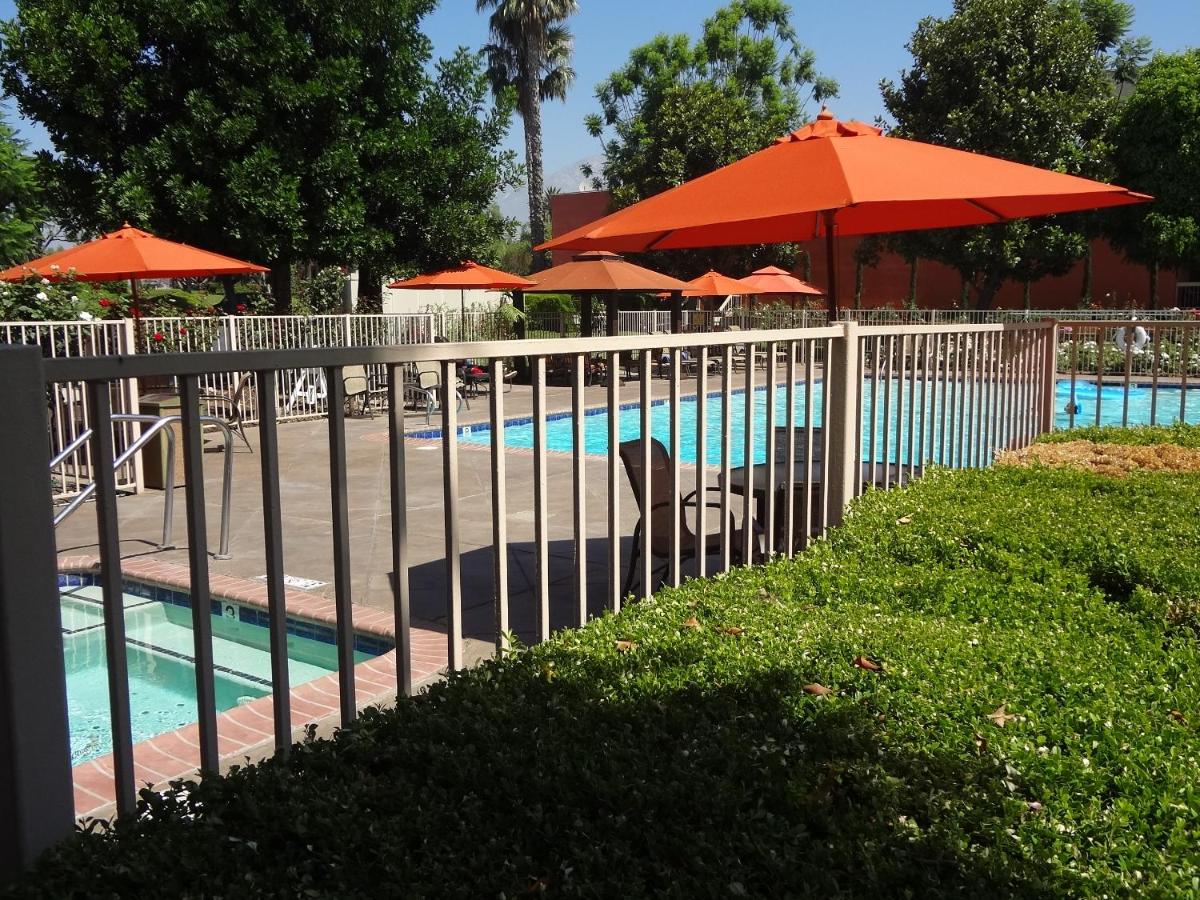 Ontario Airport Hotel & Conference Center - image 4