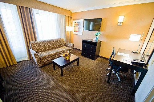 Hotel d'Lins Ontario Airport - image 16