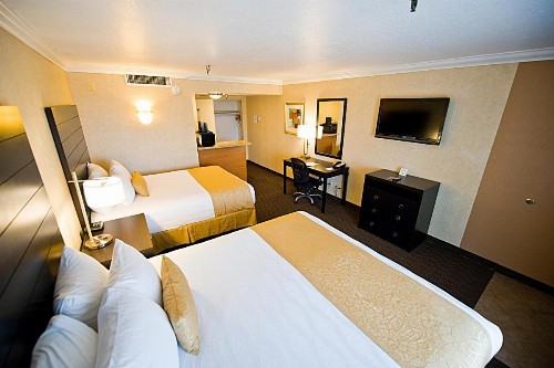 Hotel d'Lins Ontario Airport - image 18