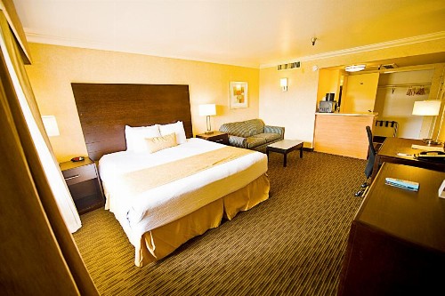Hotel d'Lins Ontario Airport - image 24