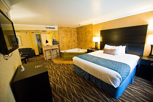 Hotel d'Lins Ontario Airport - image 27