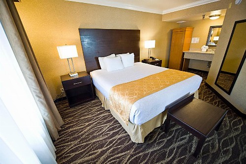 Hotel d'Lins Ontario Airport - image 4