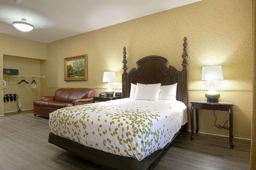 Azure Hotel&Suites Ontario Trademark Collection by Wyndham - image 19