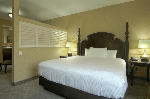 Azure Hotel&Suites Ontario Trademark Collection by Wyndham - image 43
