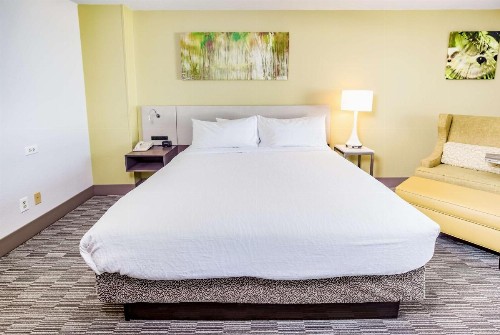 Hilton Garden Inn Orange Beach - image 42