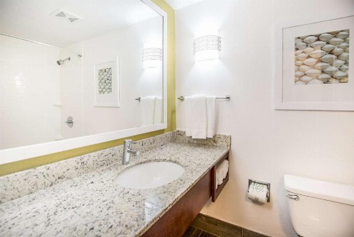 Hilton Garden Inn Orange Beach - image 47
