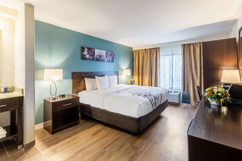 Sleep Inn on the Beach - image 29