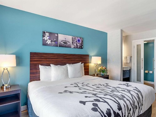 Sleep Inn on the Beach - image 35