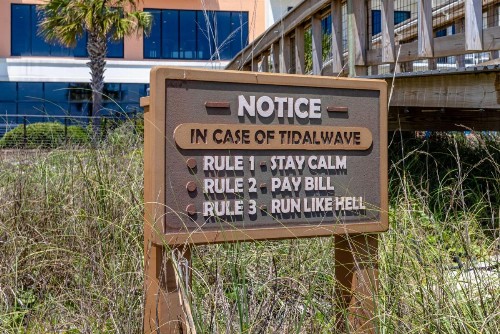 Hampton Inn & Suites - Orange Beach - image 3