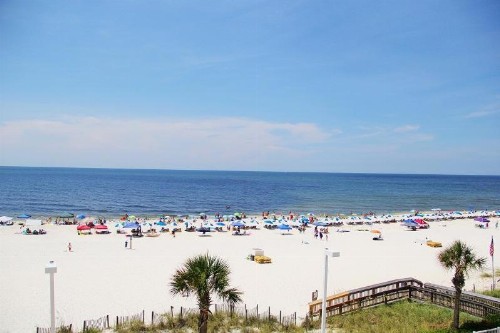 Tradewinds 302