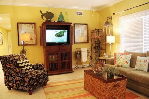 Palm Beach B11 - image 7