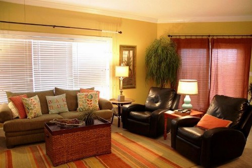 Palm Beach B11 - image 9