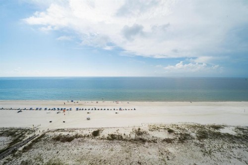 Phoenix X Unit 1205 - image 16