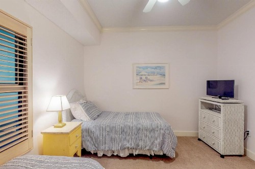 Palm Beach #C21 - image 9