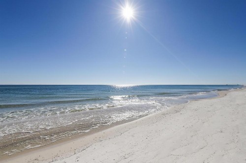 Palm Beach #C23 - image 11