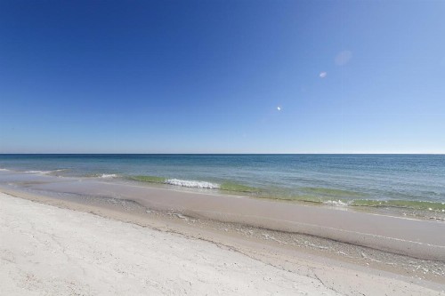 Palm Beach #C23 - image 8