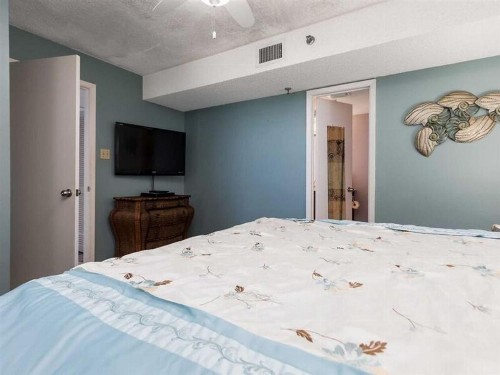 Phoenix III 3117 by Meyer Vacation Rentals - image 11