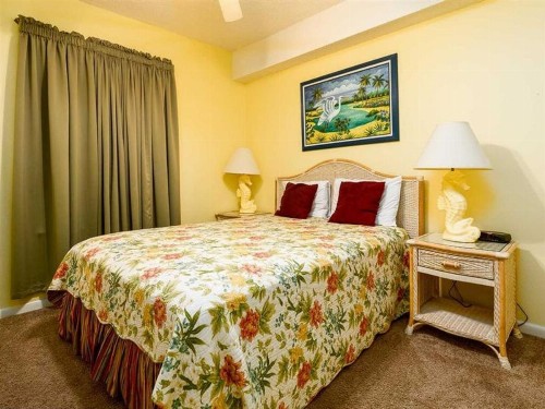 Phoenix X 317 by Meyer Vacation Rentals - image 11