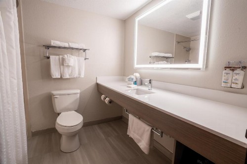 Holiday Inn Express Hotel & Suites Orange City - Deltona an IHG Hotel - image 25