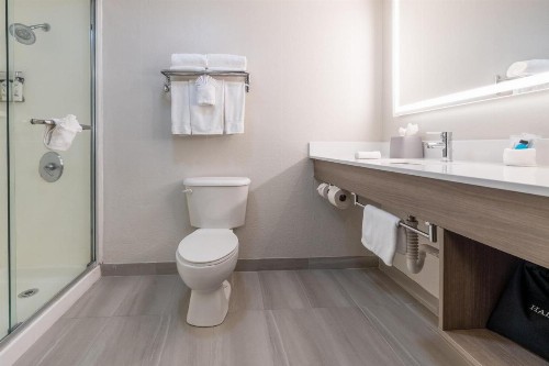 Holiday Inn Express Hotel & Suites Orange City - Deltona an IHG Hotel - image 32