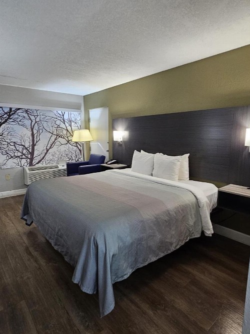 Quality Inn Orange City - image 3
