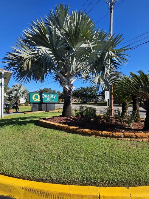 Quality Inn Orange City - image 8